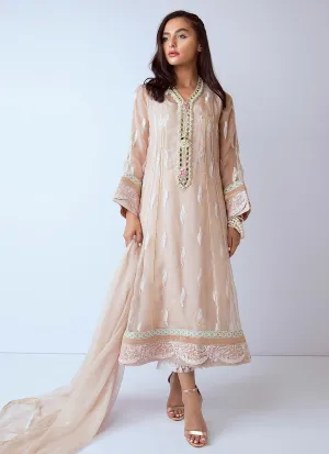 Beautiful hand worked Pakistani dress in beige color # P2274