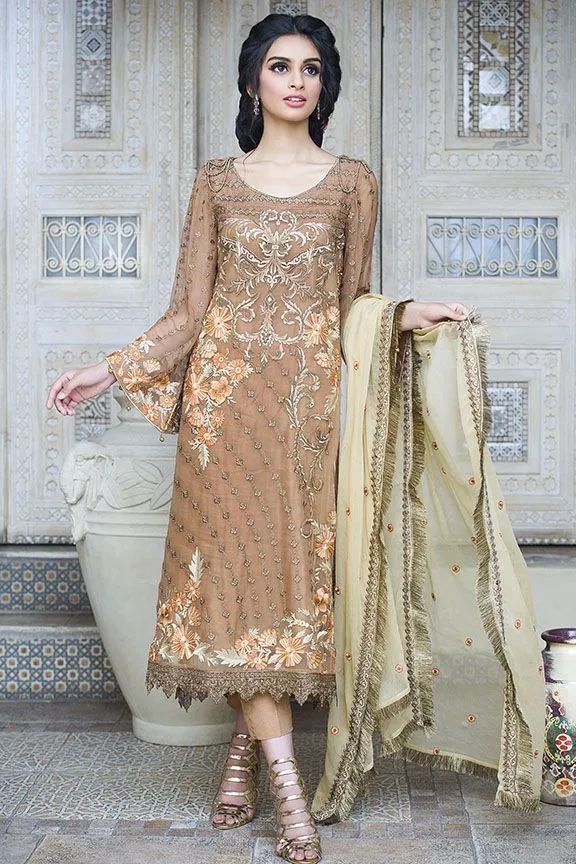Beautiful Pakistani brown chiffon dress for party # P2295