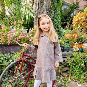 Brown Peter Pan Collar Dress