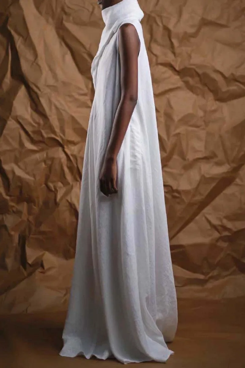 Casual Solid Basic Turtleneck Long Dress Dresses