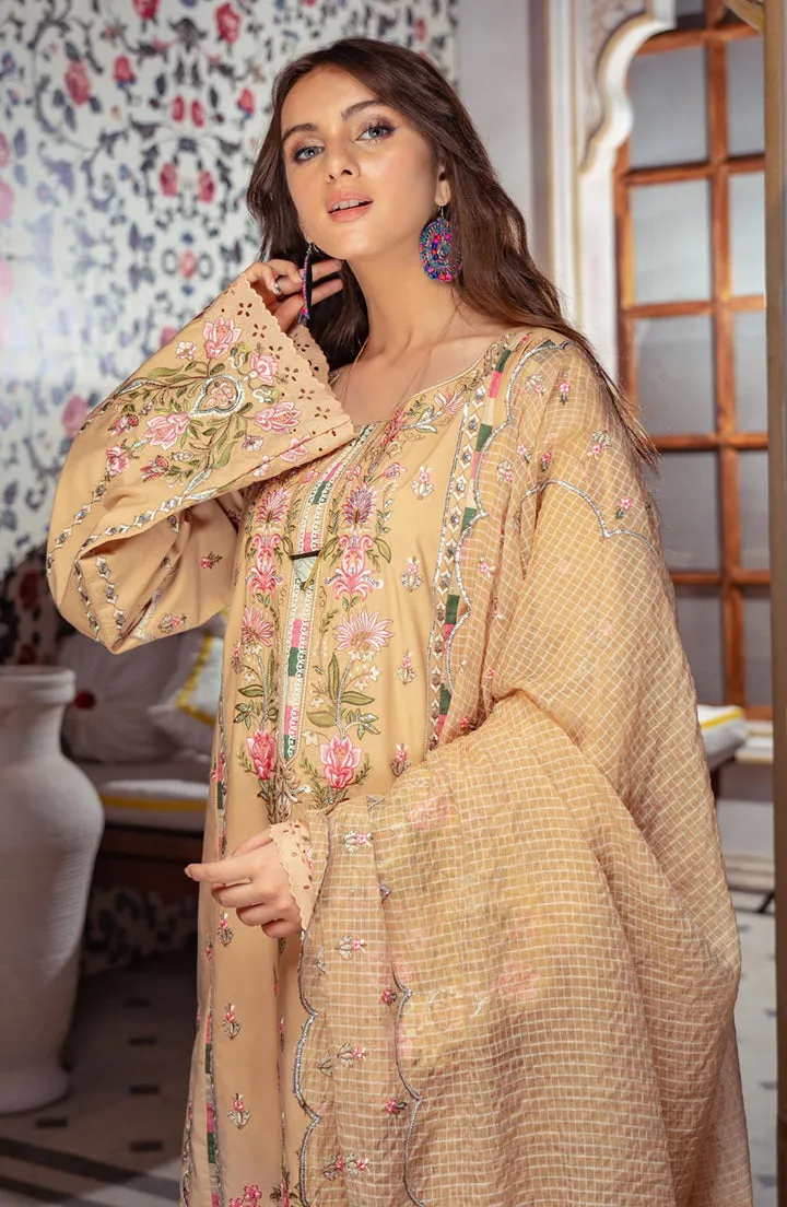 Embroidered Skin Cotton Salwar Kameez Pakistani Dress