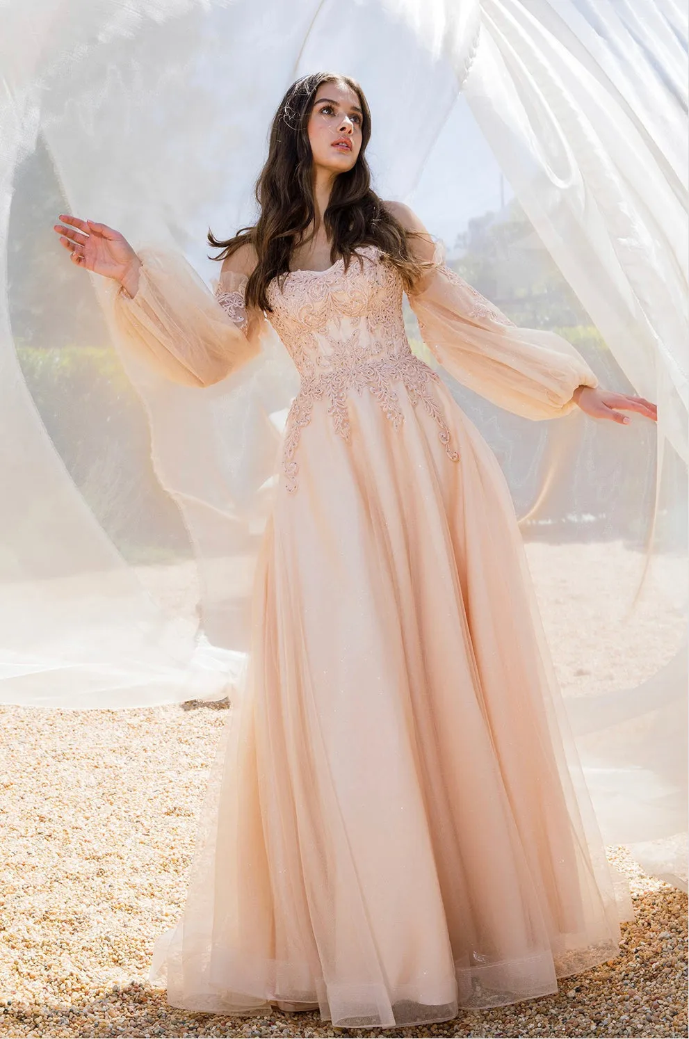 Eureka Evening Gowns 9505