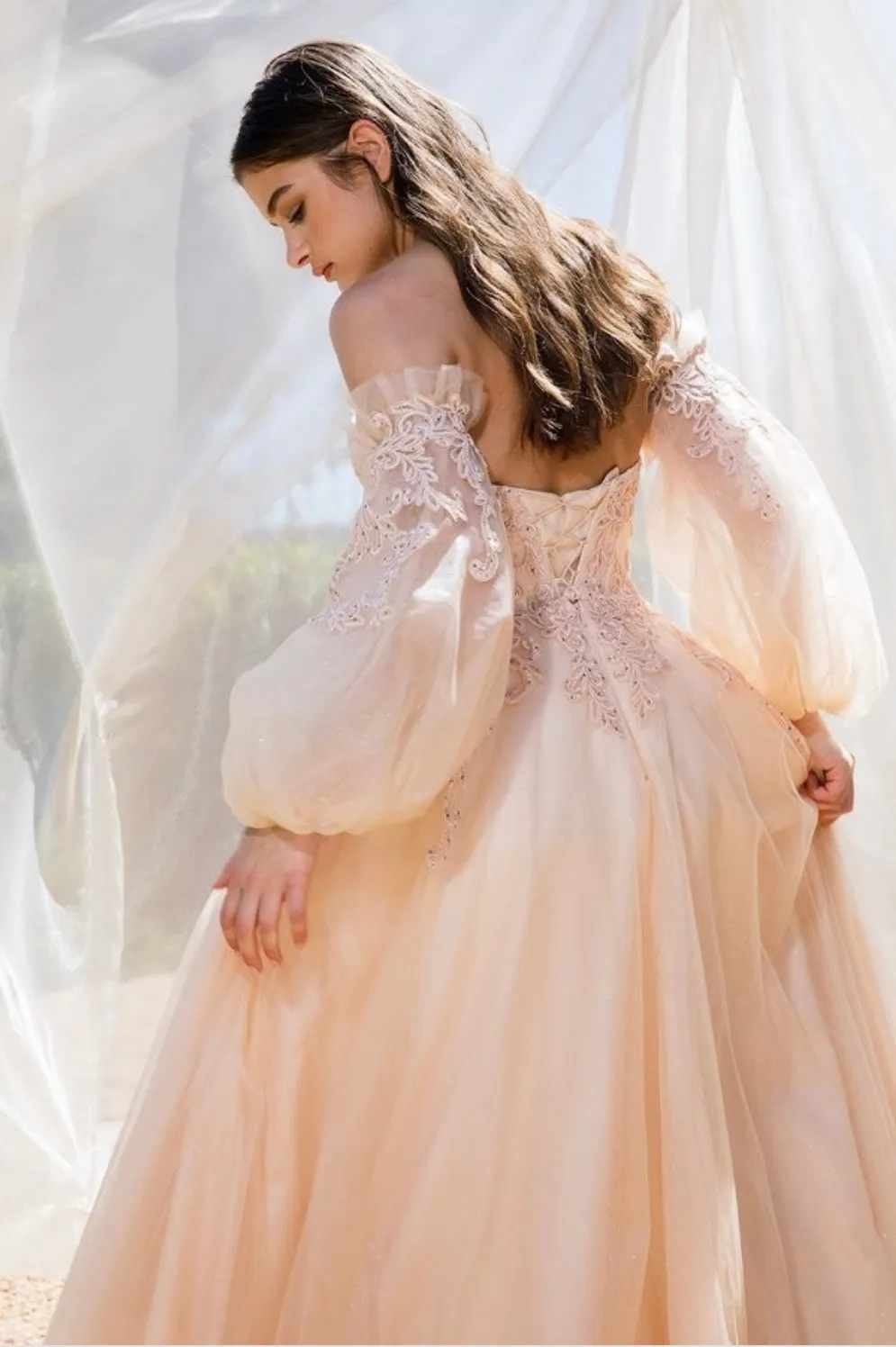 Eureka Evening Gowns 9505