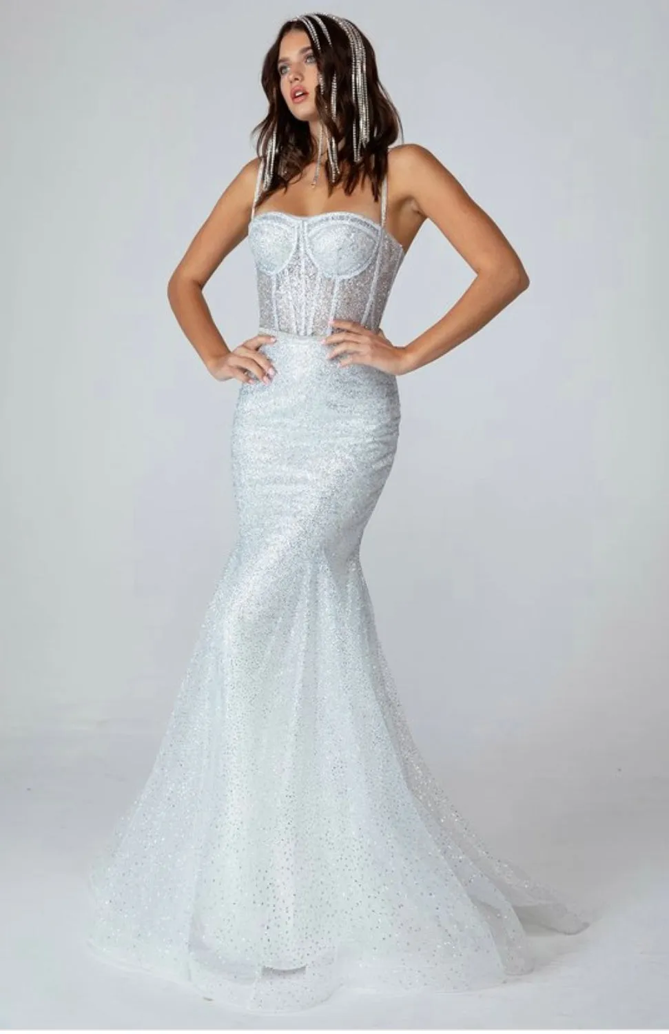 Eureka Evening Gowns 9911
