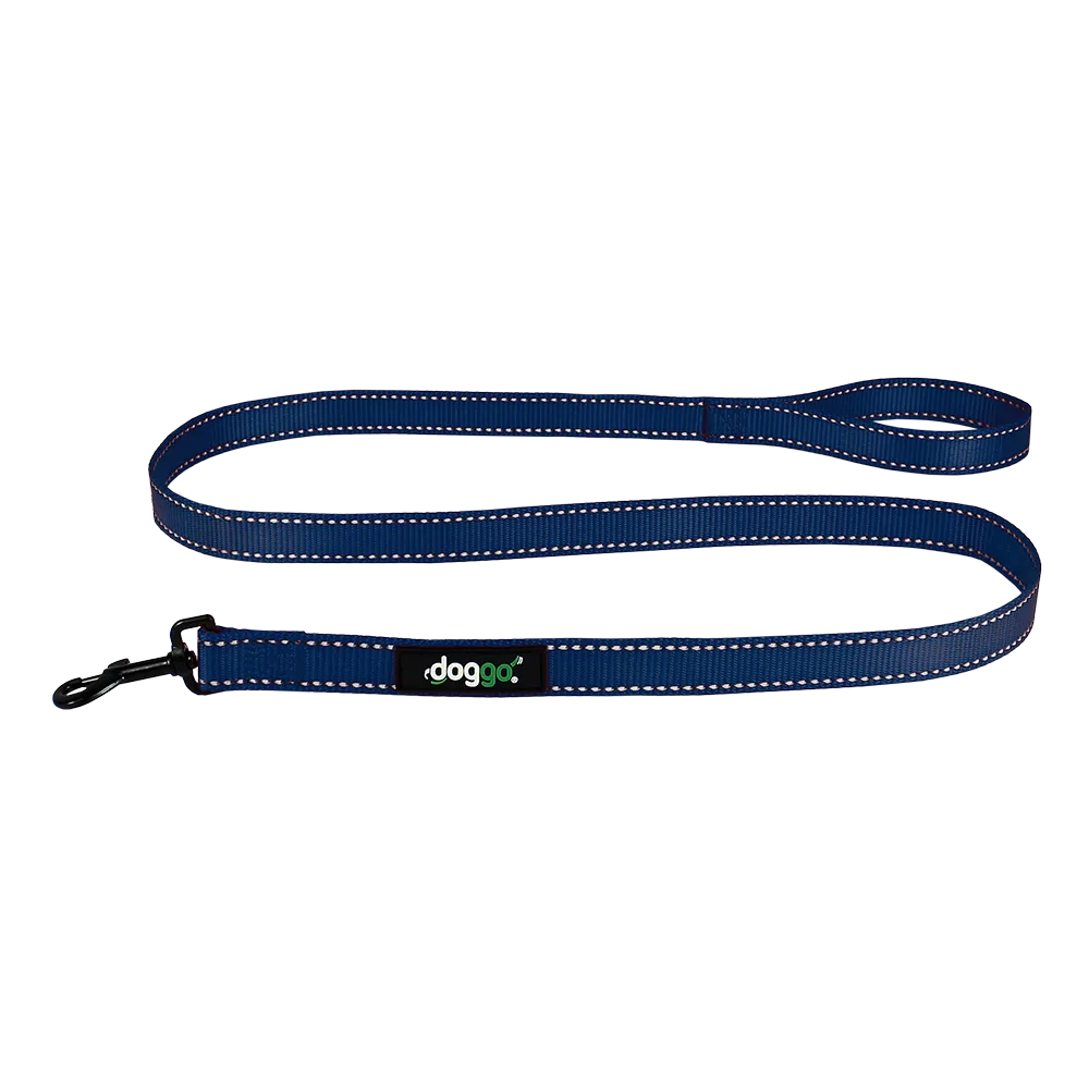 Everyday Nylon Leash