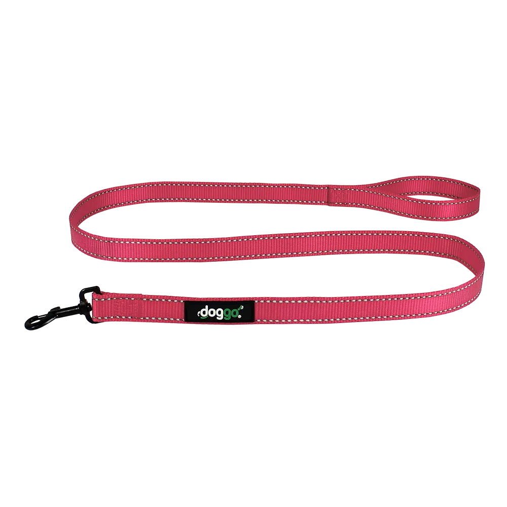 Everyday Nylon Leash