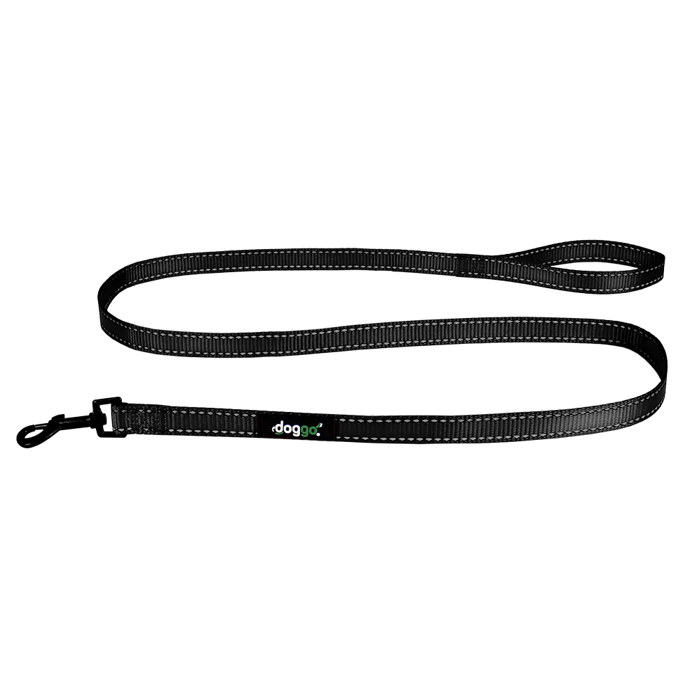 Everyday Nylon Leash