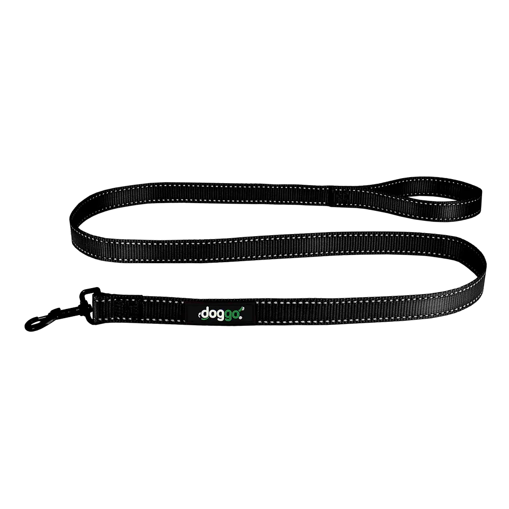Everyday Nylon Leash