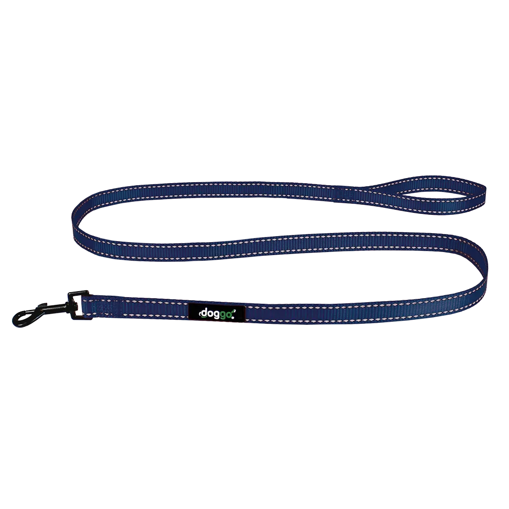Everyday Nylon Leash