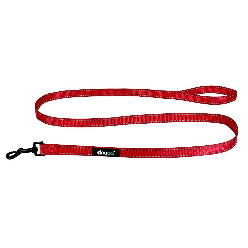 Everyday Nylon Leash
