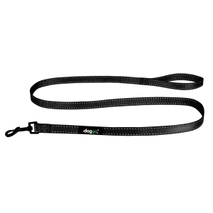 Everyday Nylon Leash