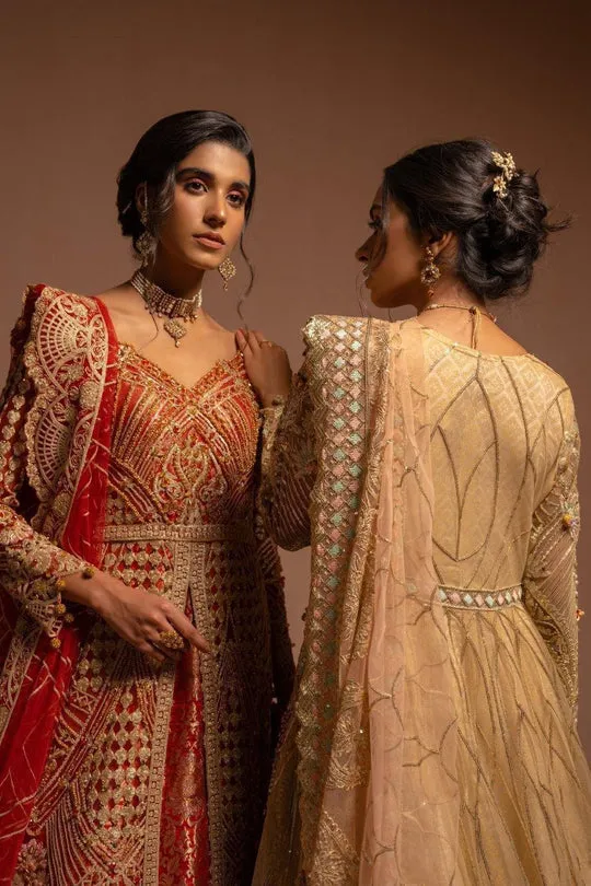 Gold Embroidered Huge Flare Pakistani Pishwas Wedding Wear