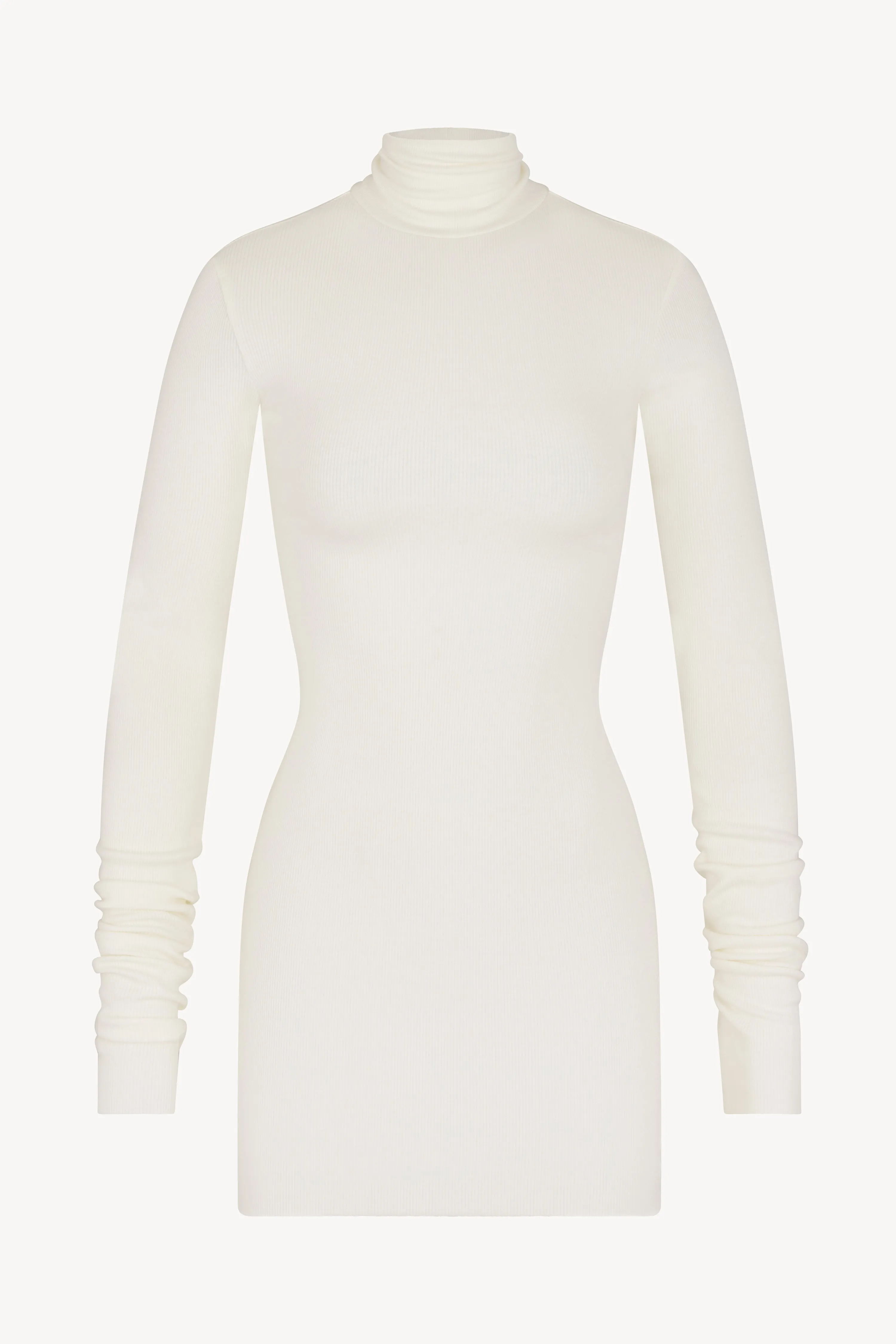 Long Sleeve Turtleneck Mini Dress