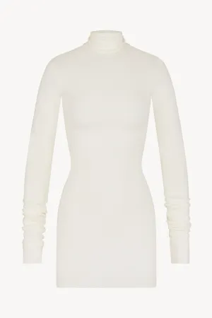 Long Sleeve Turtleneck Mini Dress