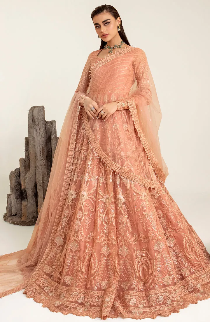 Luxury Tea Pink Embroidered Pakistani Wedding Dress Pishwas Frock