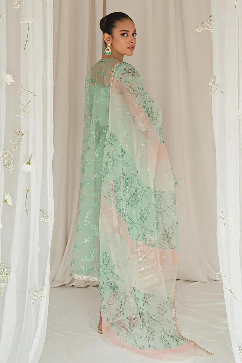 Mint Green Traditionally Embellished Pakistani Salwar Suit with Dupatta