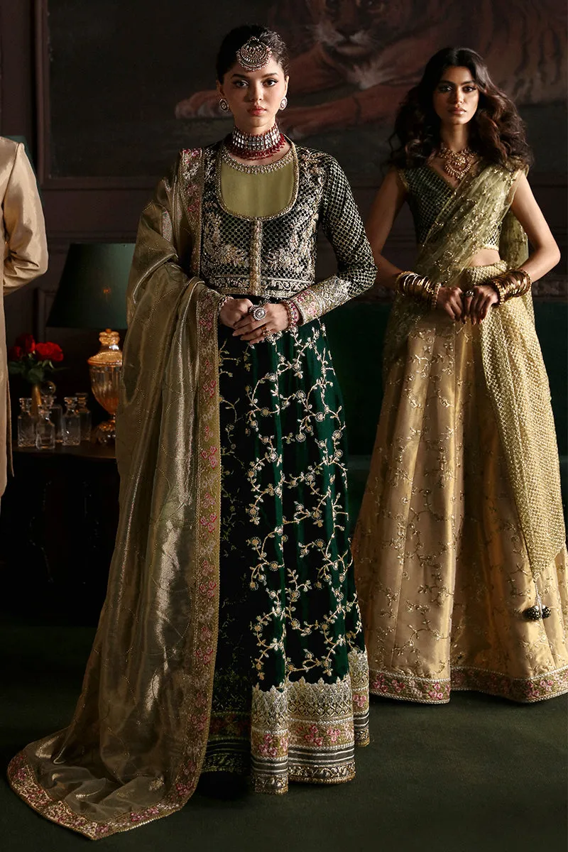 MUSHQ | NILOUFER UNSTITCHED VELVET EDIT | SHAHINAZ