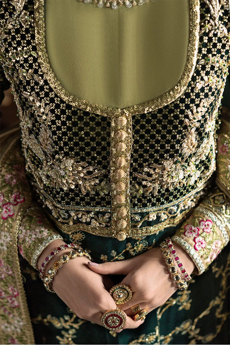 MUSHQ | NILOUFER UNSTITCHED VELVET EDIT | SHAHINAZ