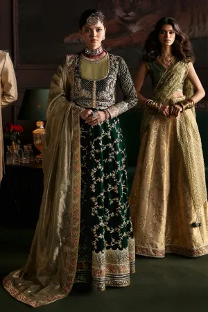 MUSHQ | NILOUFER UNSTITCHED VELVET EDIT | SHAHINAZ
