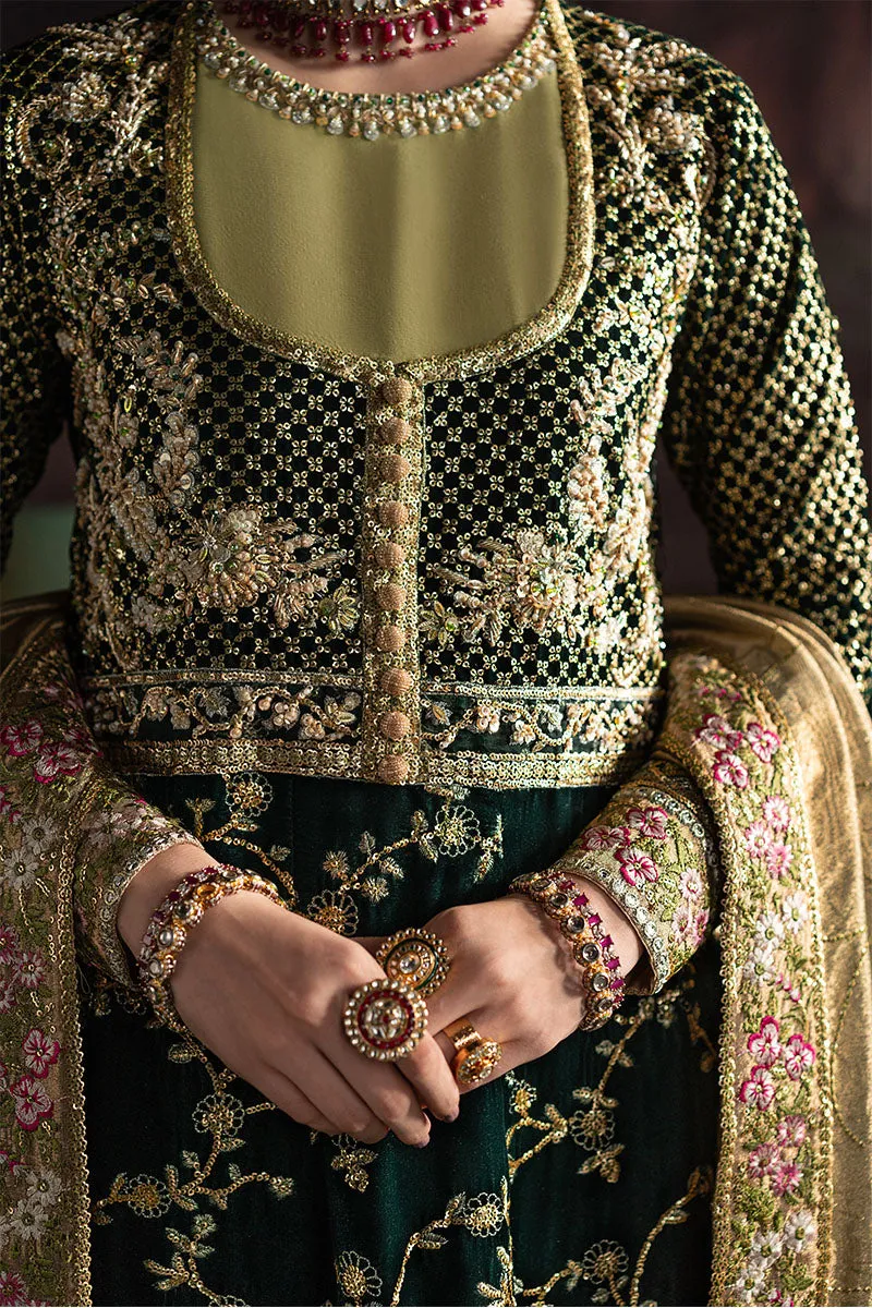 MUSHQ | NILOUFER UNSTITCHED VELVET EDIT | SHAHINAZ