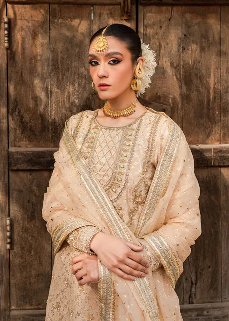 Nude Pink Gold Shirt Salwar Pakistani Wedding Dresses