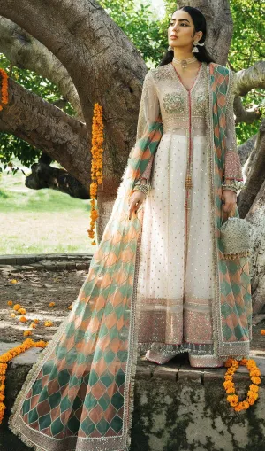 Organza Dress Pakistani in Pishwas and Sharara Style