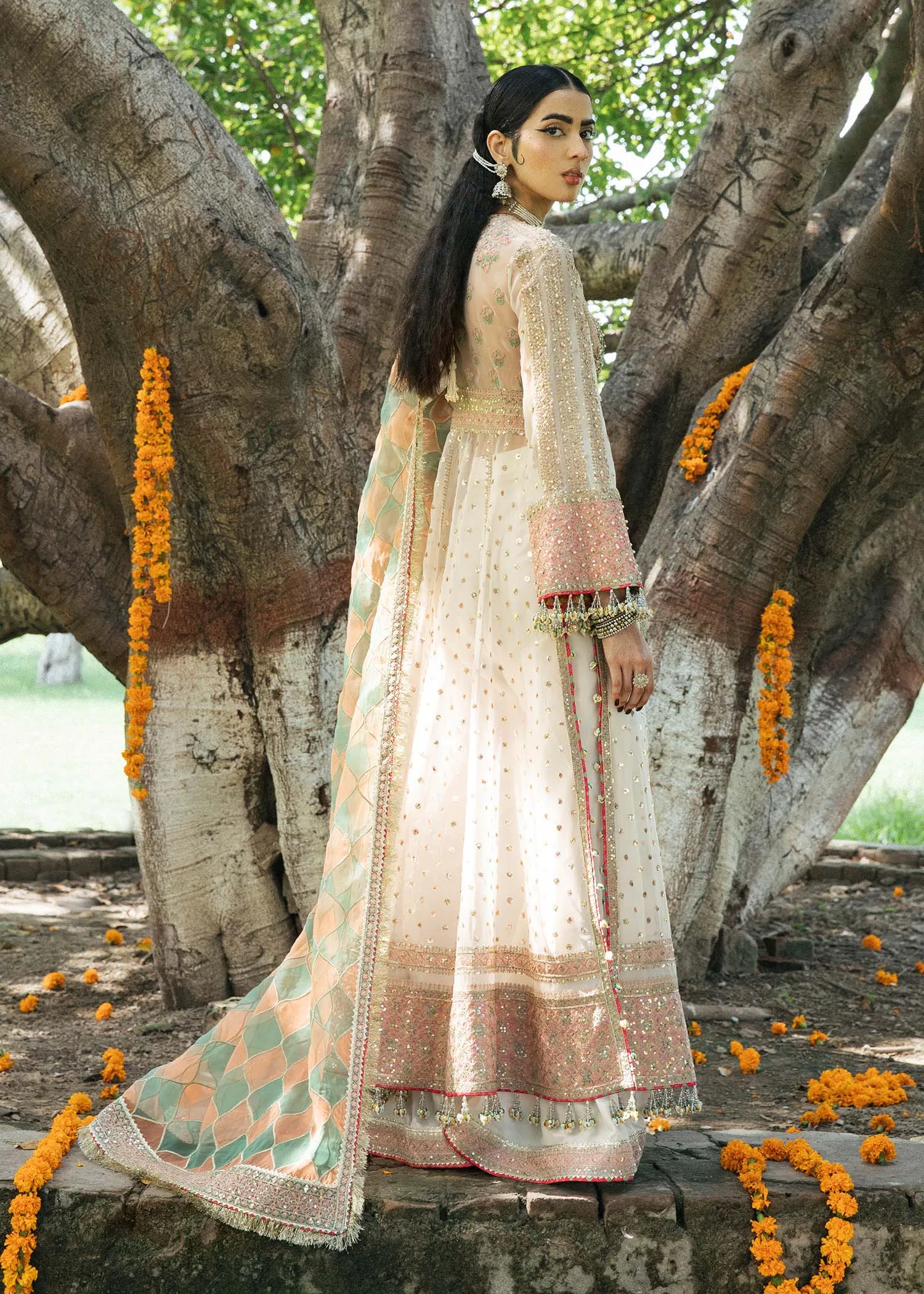 Organza Dress Pakistani in Pishwas and Sharara Style