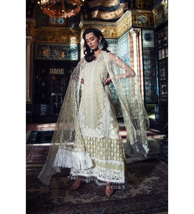 Pakistani long kameez and trouser design # P2627