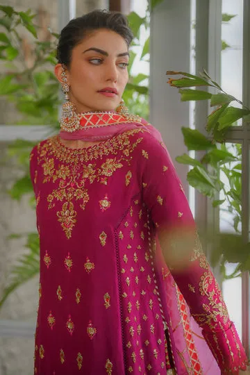 Pakistani Pink Embroidered Long Kameez With Trousers