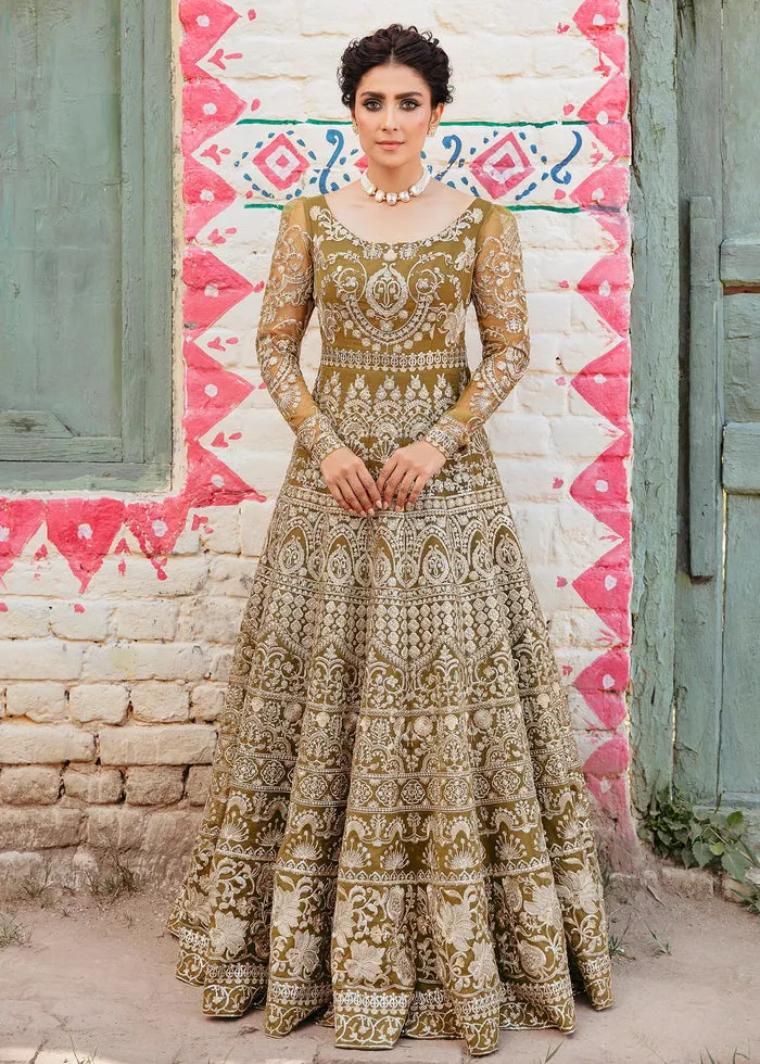 Pakistani Pishwas Frock and Trousers Dress for Wedding