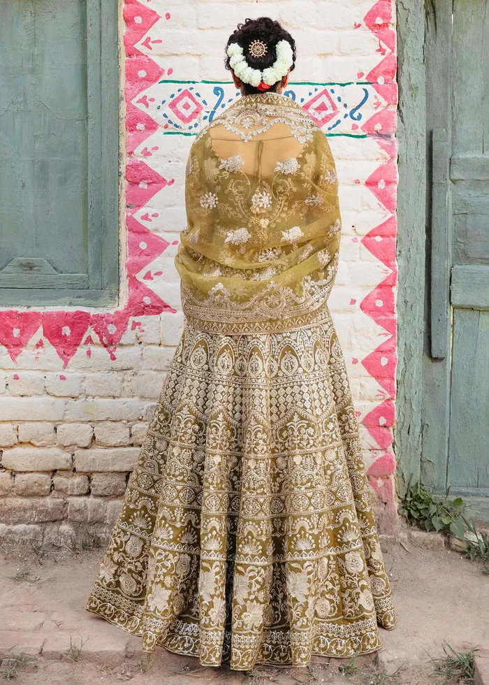 Pakistani Pishwas Frock and Trousers Dress for Wedding