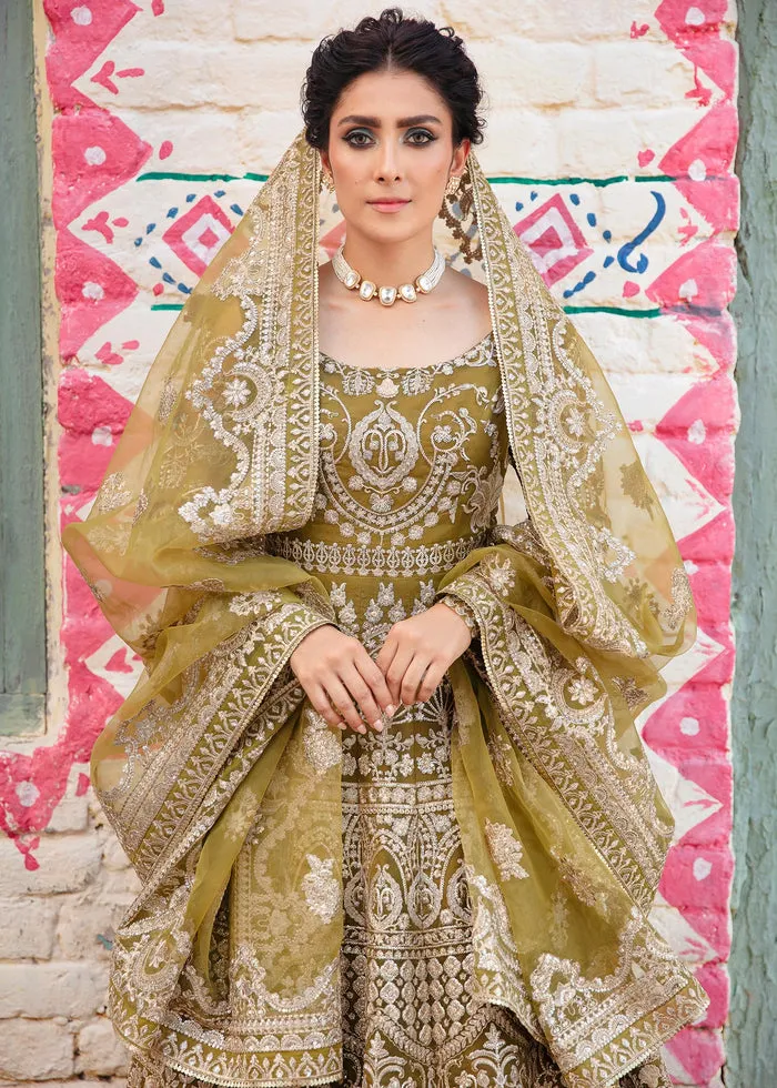Pakistani Pishwas Frock and Trousers Dress for Wedding