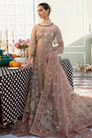 Pakistani Wedding Dress in Long Tail Pishwas Style