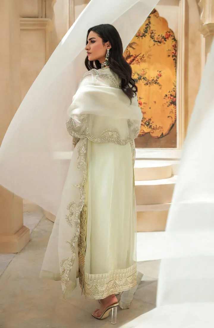 Pearl Golden Embroidered Pakistani Long Kameez Wedding Dress