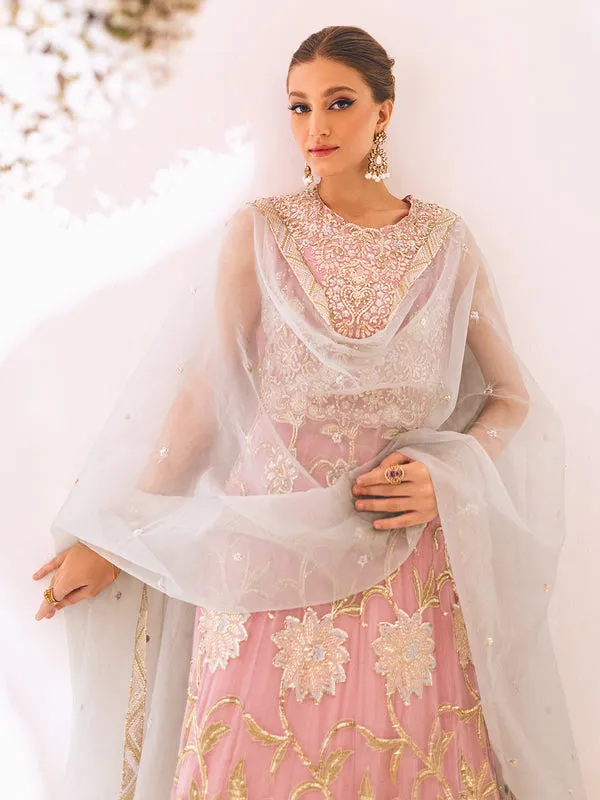 Pink Heavily Embellished Pakistani Wedding Dress Pishwas Frock