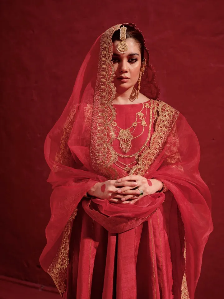 Raw Net Anarkali Frock for Pakistani Wedding Dresses