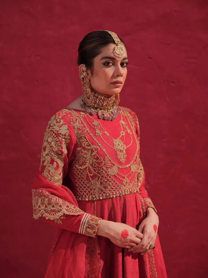 Raw Net Anarkali Frock for Pakistani Wedding Dresses