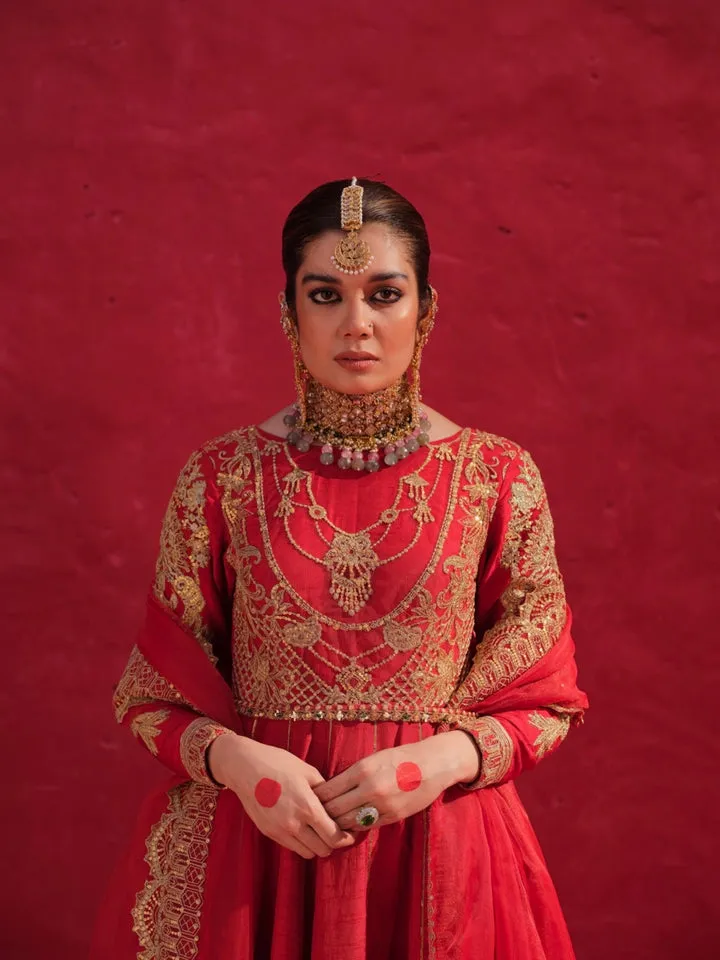Raw Net Anarkali Frock for Pakistani Wedding Dresses
