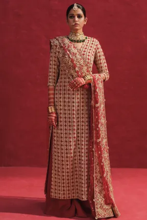 Raw Net Red Kameez Sharara Pakistani Wedding Dresses