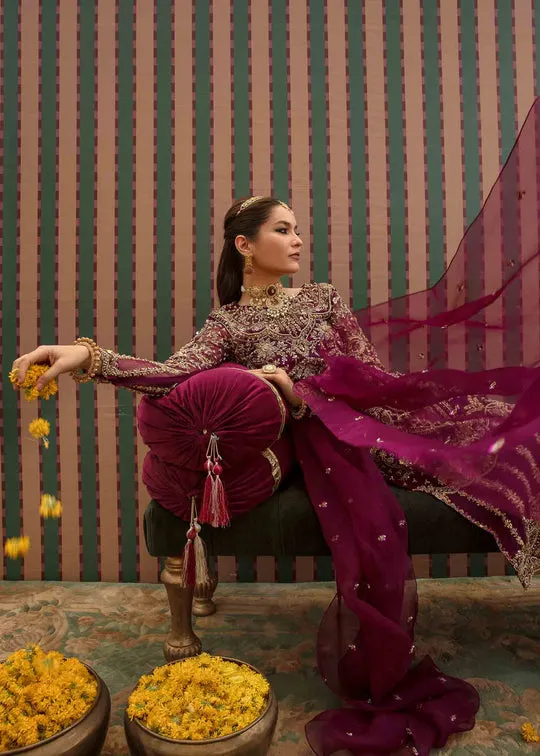 Regal Plum Embroidered Pakistani Wedding Dress Kameez Trousers