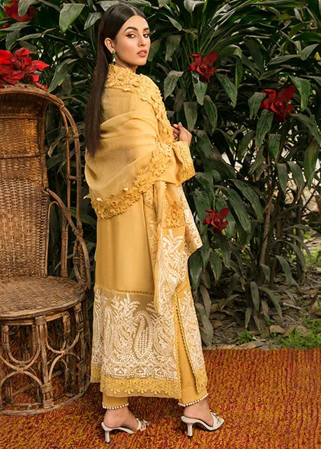 Simple Pakistani Party Dresses Embroidered Salwar Kameez