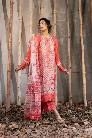 SOBIA NAZIR | FALL EDIT '24 | 1B