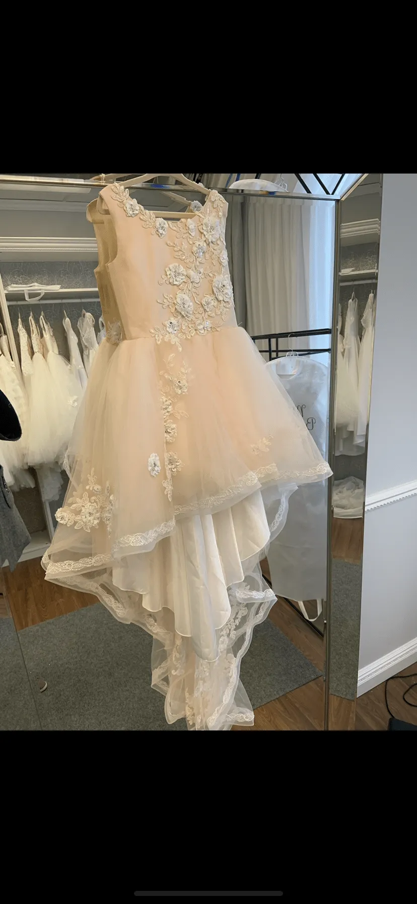 Valencia Blush High Low Dress in Size 7-8