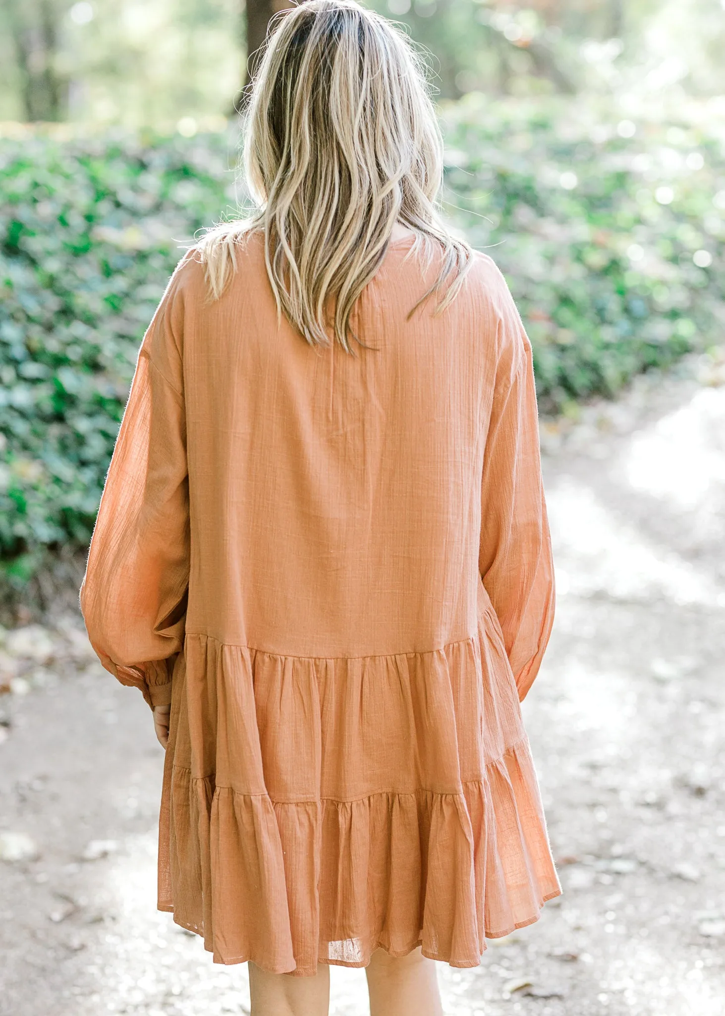 X Ginger Smoke Dress