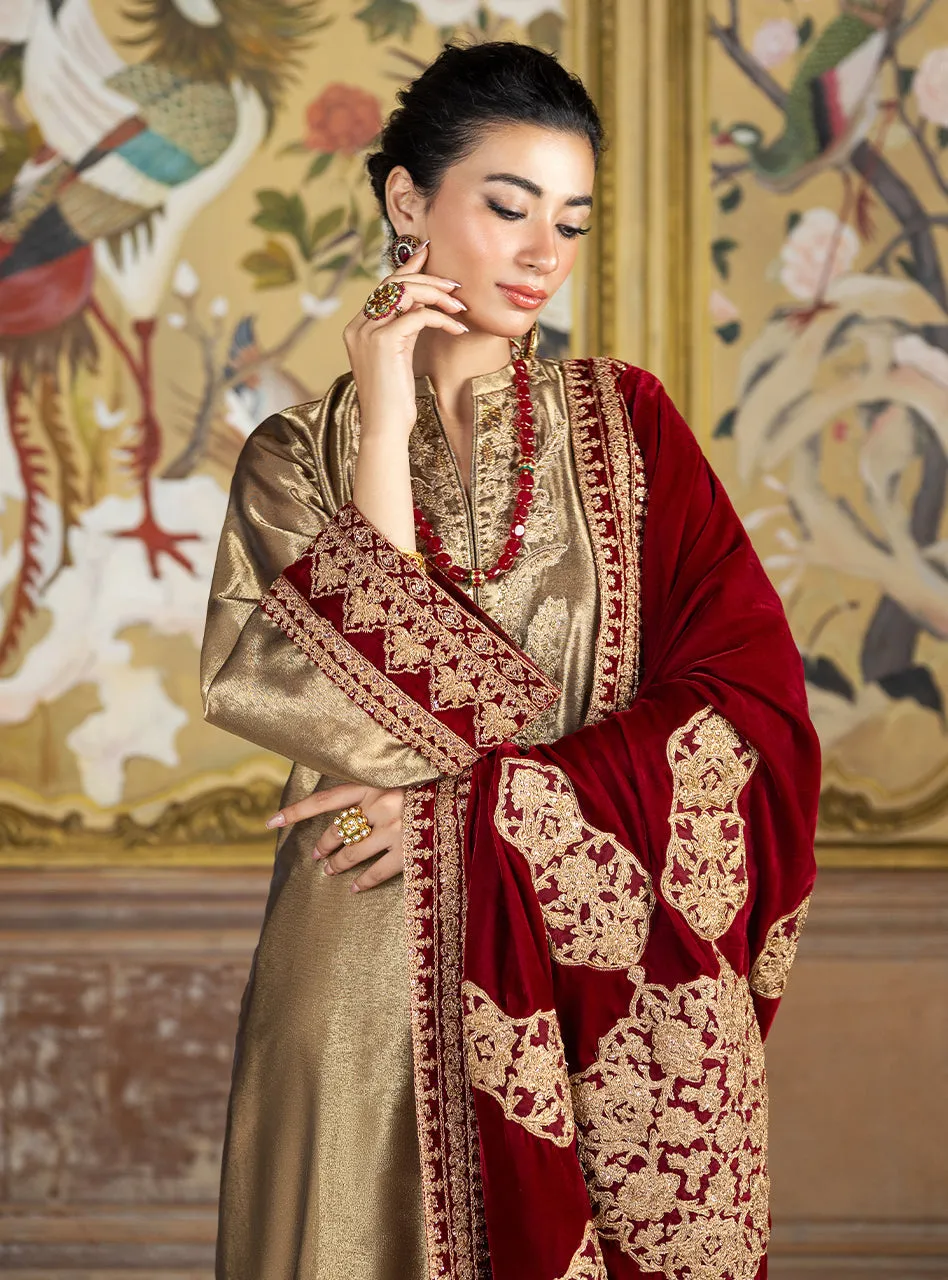 Zainab Chottani Velvet Collection '24 | ZERLIN