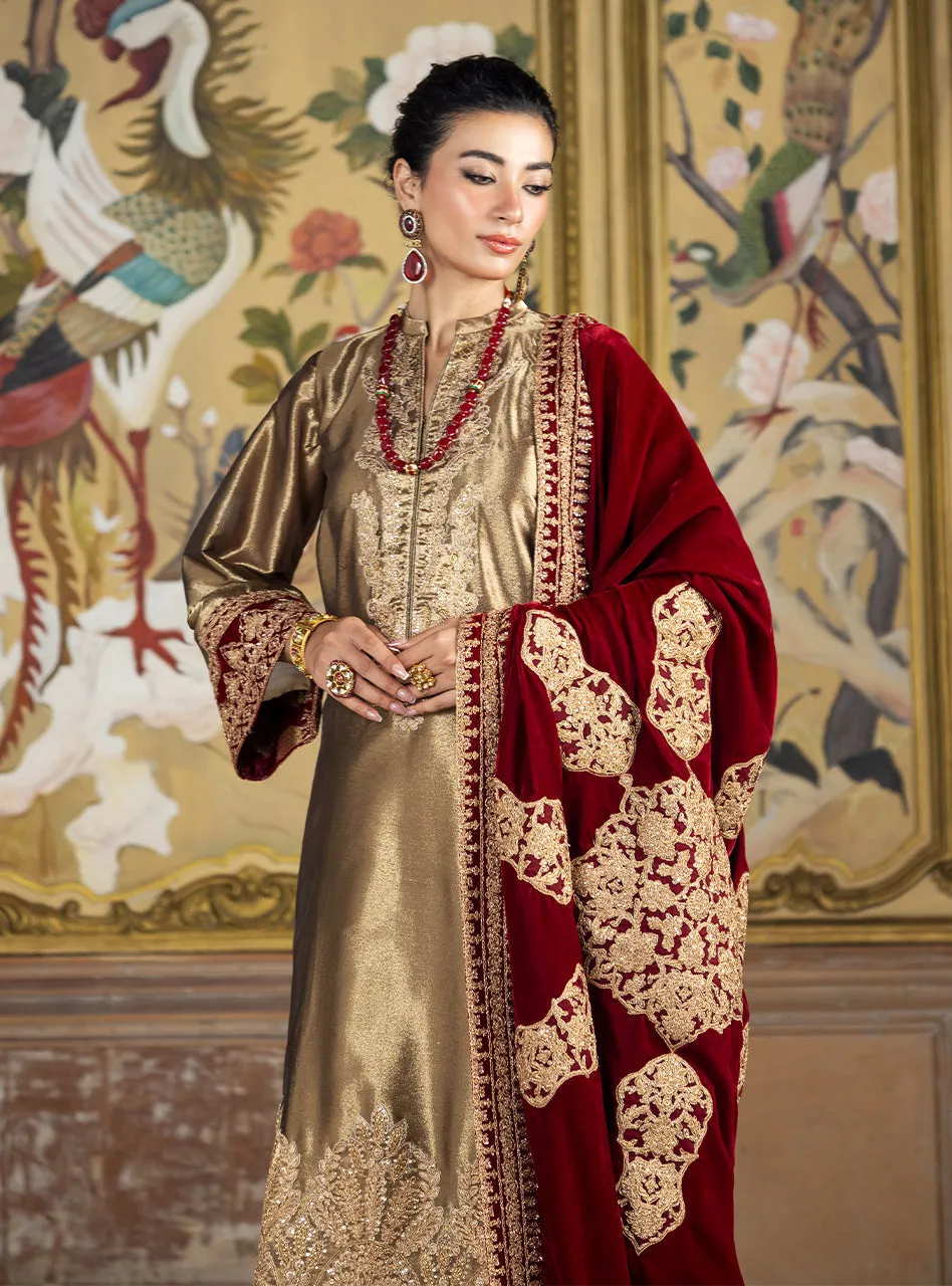 Zainab Chottani Velvet Collection '24 | ZERLIN